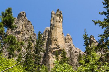 custer state park, Güney dakota'da yürüyüş