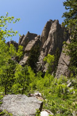 custer state park, Güney dakota'da yürüyüş