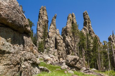custer state park, Güney dakota'da yürüyüş
