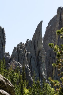 custer state park, Güney dakota'da yürüyüş