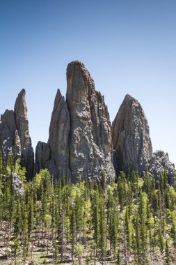 custer state park, Güney dakota'da yürüyüş