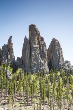 custer state park, Güney dakota'da yürüyüş