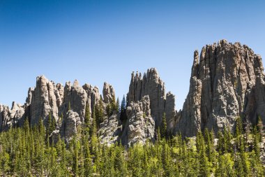 custer state park, Güney dakota'da yürüyüş