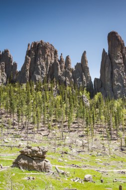 custer state park, Güney dakota'da yürüyüş