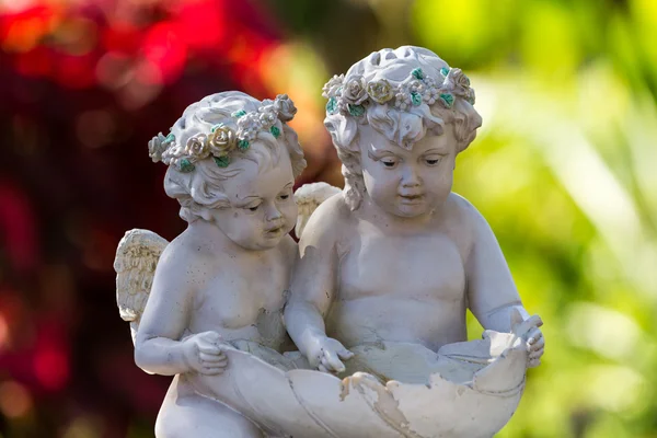 Young angels — Stock Photo, Image