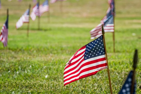 Us flags in a veterans cemetery on Veterans day — Stock Photo, Image