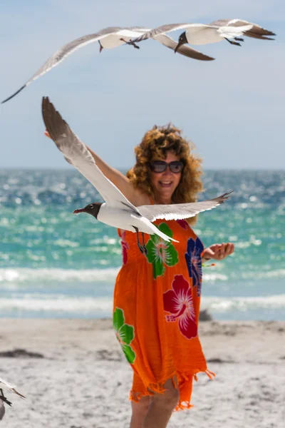 Vrouw voederen meeuwen — Stockfoto