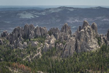 Black hills, Güney dakota