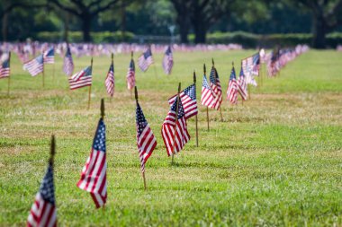 Bizi Gaziler günü Gazi mezarlığı bayrakları 
