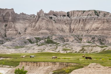 Badlands, Güney dakota