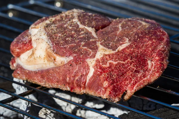 Gras verfüttert Fleisch — Stockfoto