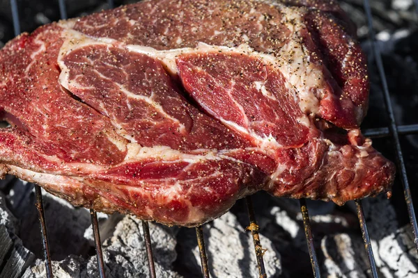 Grama alimentado carne — Fotografia de Stock