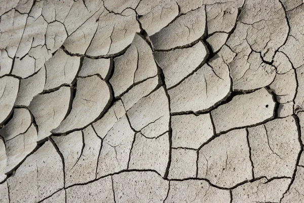 Dried mud background — Stock Photo, Image