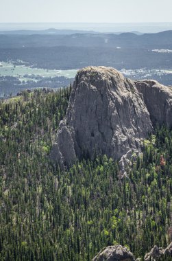 Black hills, Güney dakota