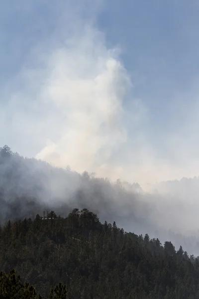 Füst az erdőben — Stock Fotó