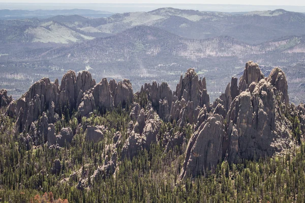 Black hills, dakota Południowa — Zdjęcie stockowe