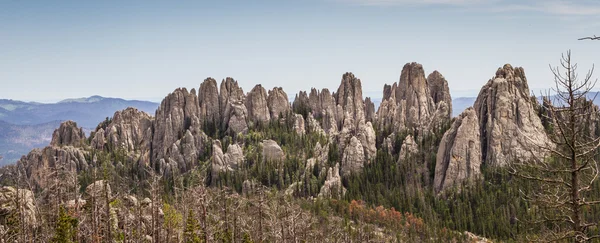 布莱克山，南达科塔州 — 图库照片