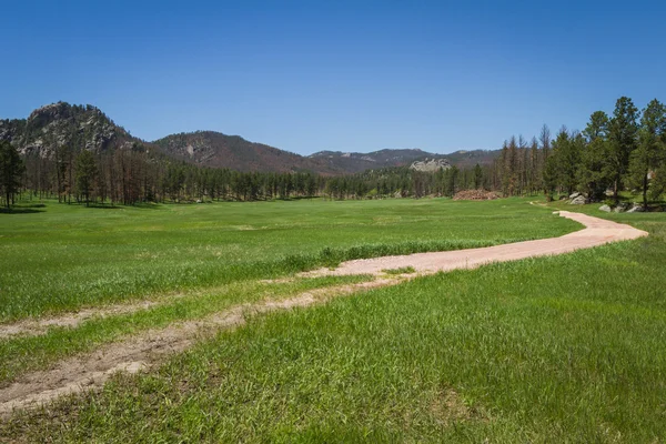 Camino de tierra a través de las colinas negras de Dakota del Sur — Foto de Stock