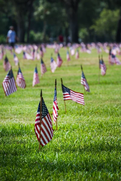 Us flags in a veterans cemetery on Veterans day — Stock Photo, Image