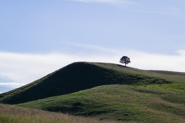 Custer milli park peyzaj