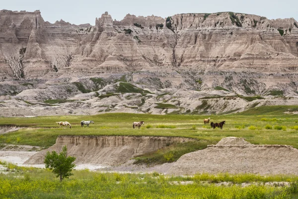 Badlands, Güney dakota — Stok fotoğraf