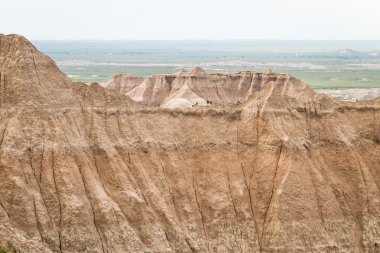bir yamaca dağ keçisi