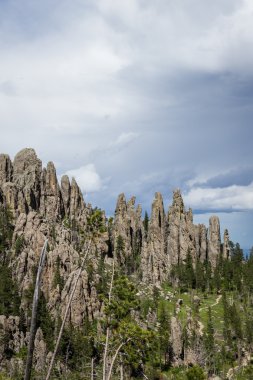 Güney Dakota'da granit oluşumları