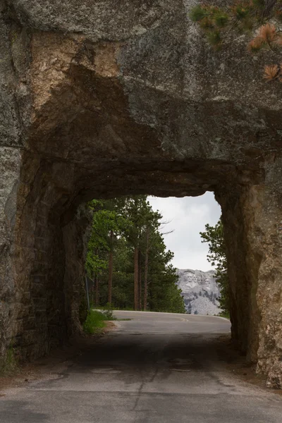 Monte Rushmore vista — Foto Stock