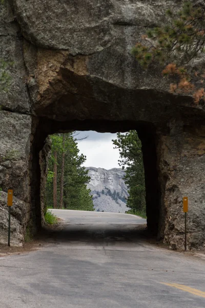Mount Rushmore-utsikten – stockfoto