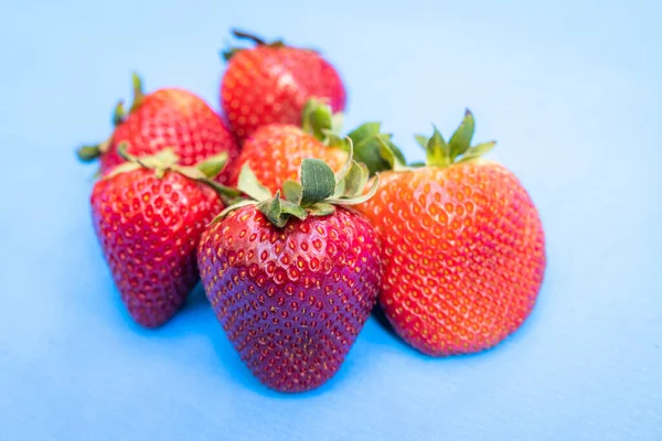 Close Van Een Bos Aardbeien Geïsoleerd Een Blauwe Achtergrond — Stockfoto