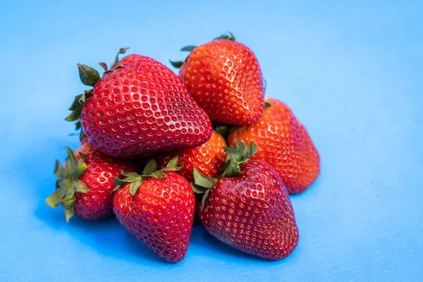 Nahaufnahme Eines Bündels Erdbeeren Isoliert Auf Blauem Hintergrund — Stockfoto