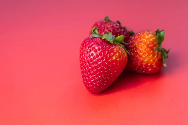 Fresas Jugosas Frescas Maduras Aisladas Sobre Fondo Rojo — Foto de Stock
