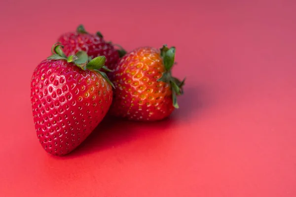 Verse Rijpe Sappige Aardbeien Geïsoleerd Een Rode Achtergrond — Stockfoto