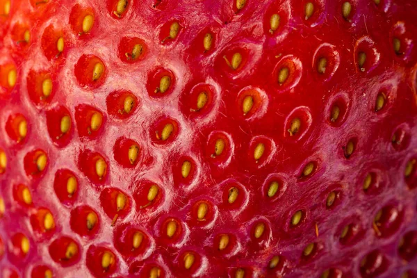 Close Rest Red Ripe Strawberry Golden Seeds Amazing Texture — Stock Photo, Image