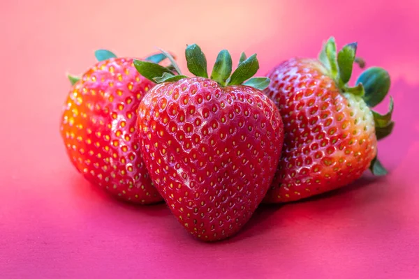 Fraises Juteuses Mûres Fraîches Isolées Sur Fond Rouge — Photo