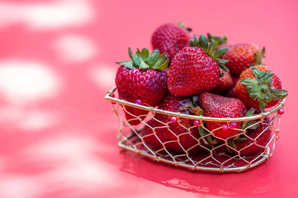 Bright red strawberries in a wire basket on a white background