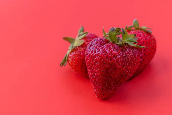 Gros Plan Trois Fraises Fraîches Mûres Sur Fond Rouge — Photo