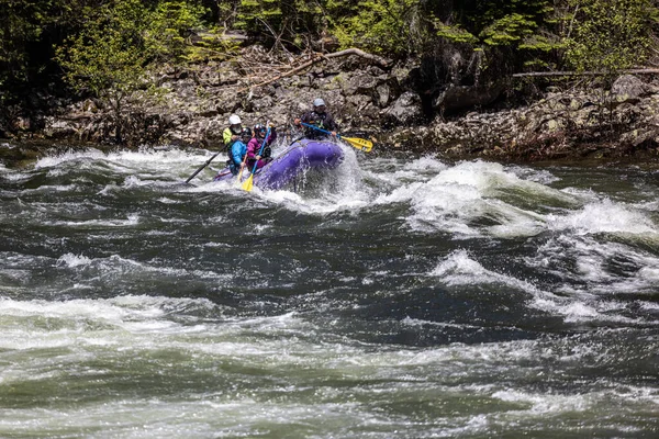 Koskia Idaho États Unis Juin 2022 Rafters Profitant Des Hautes — Photo