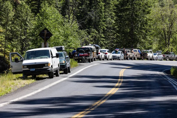 Koskia Idaho Estados Unidos Junio 2022 Marcha Completa Lado Carretera —  Fotos de Stock