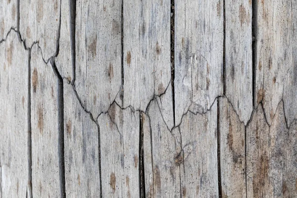 Close Texture Large Old Decomposing Tree Crack Middle — Foto de Stock