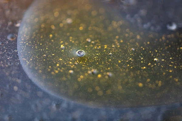 Oil Drop Bubbles Macro Top Water Dark Background — Stockfoto