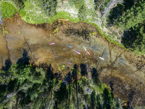 Group People Kayaking Spring Creek Cristal Clear River Southern Oregon — Foto Stock