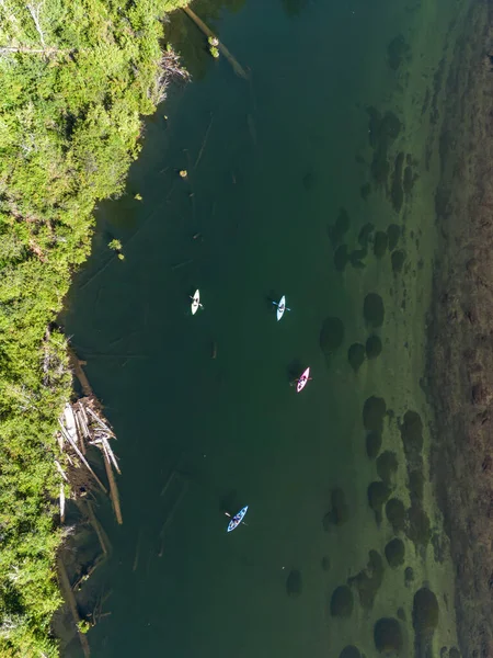 Aerial View Group Friends Kayaking North Fork Rogue River Prospect — Stock Photo, Image