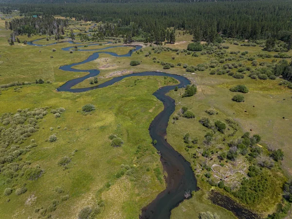 Aerial View Group Friends Kayaking Wood River Fort Klamath Southern — Stock Photo, Image