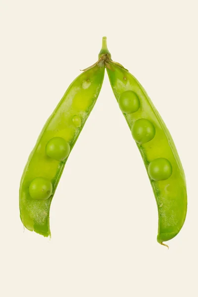 Beyaz arkaplanda taze yeşil bezelyeler.
