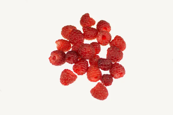 beyaz zemin üzerine izole ahududu yakın çekim