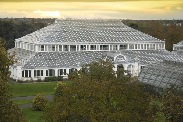 Temperate House at dusk — Stock Photo, Image