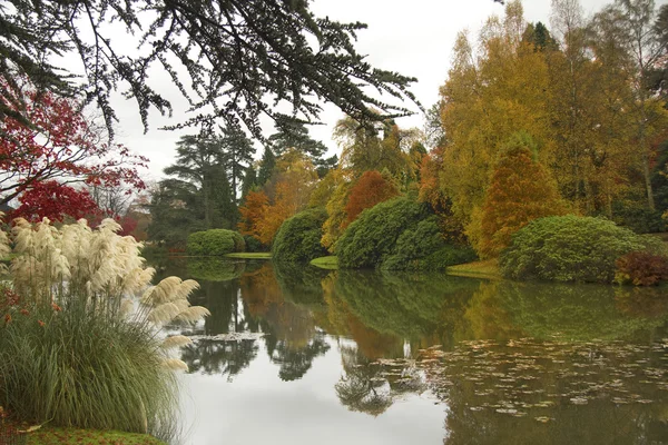 Autumn reflections — Stock Photo, Image