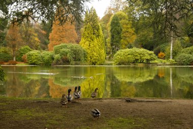 Lakeside görünümü