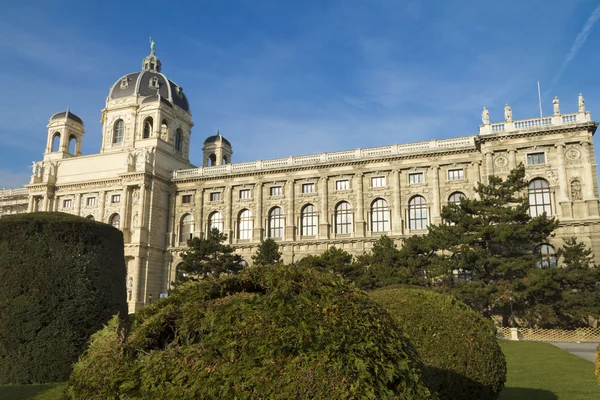 Museo de Viena — Foto de Stock